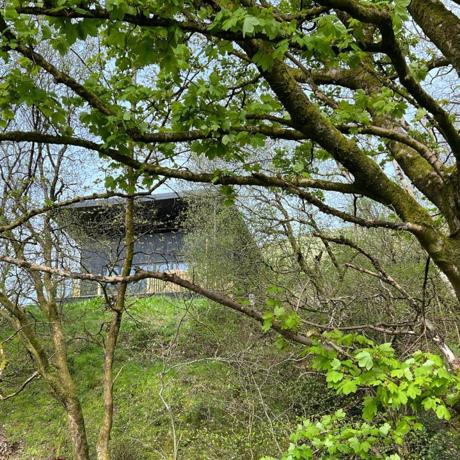 Luxury Lodge In The Treetops Llanbrynmair Exterior photo